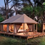 Tenda Glamping di Lusso, Dov"È la Loro Convenienza?